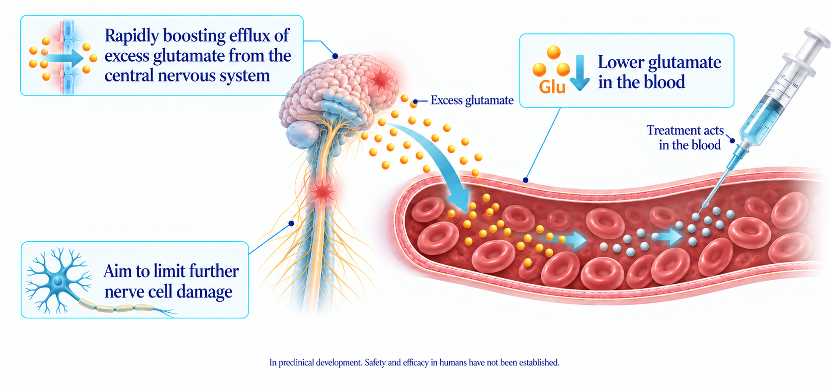 Diagram of NeuroHagana's injectable treatment approach to stopping neuronal tissue damage promoted by excess glutamate